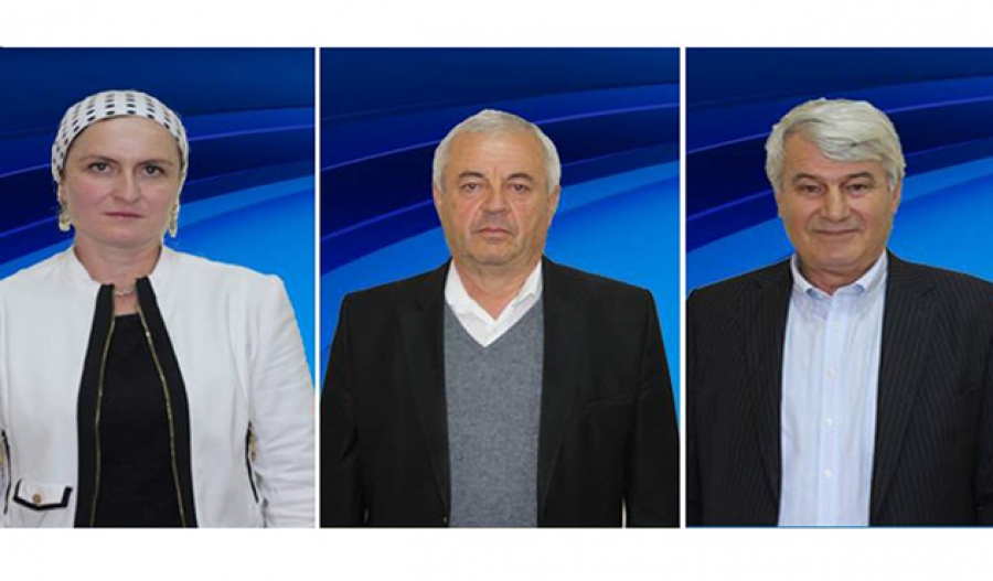 პანკისის ხეობაში &bdquo;ქართული ოცნების&ldquo; კანდიდატებმა გაიმარჯვეს