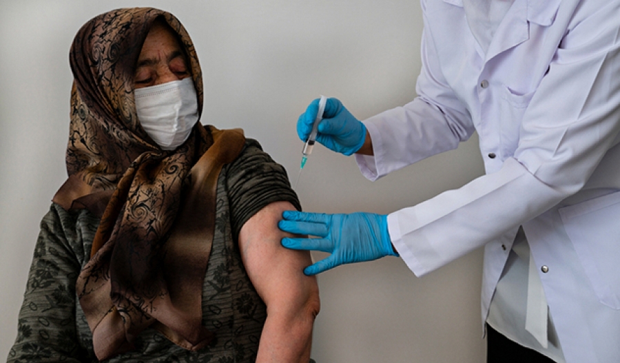 ფოკუსი &ndash; როგორ მიმდინარეობს ვაქცინაციის პროცესი