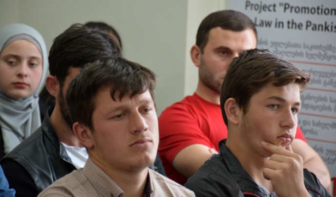 ახალგაზრდული სიტყვა &ndash; პანკისელი ახალგაზრდების პრობლემები