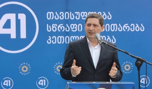 გელა სამხარაული &ndash; ახმეტაში ხე&ndash;ტყეზე ხელმისაწვდომობა მხოლოდ ორ&ndash;სამ კომპანიას არ უნდა ჰქონდეს